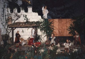 Foto der Krippe in St. Albert